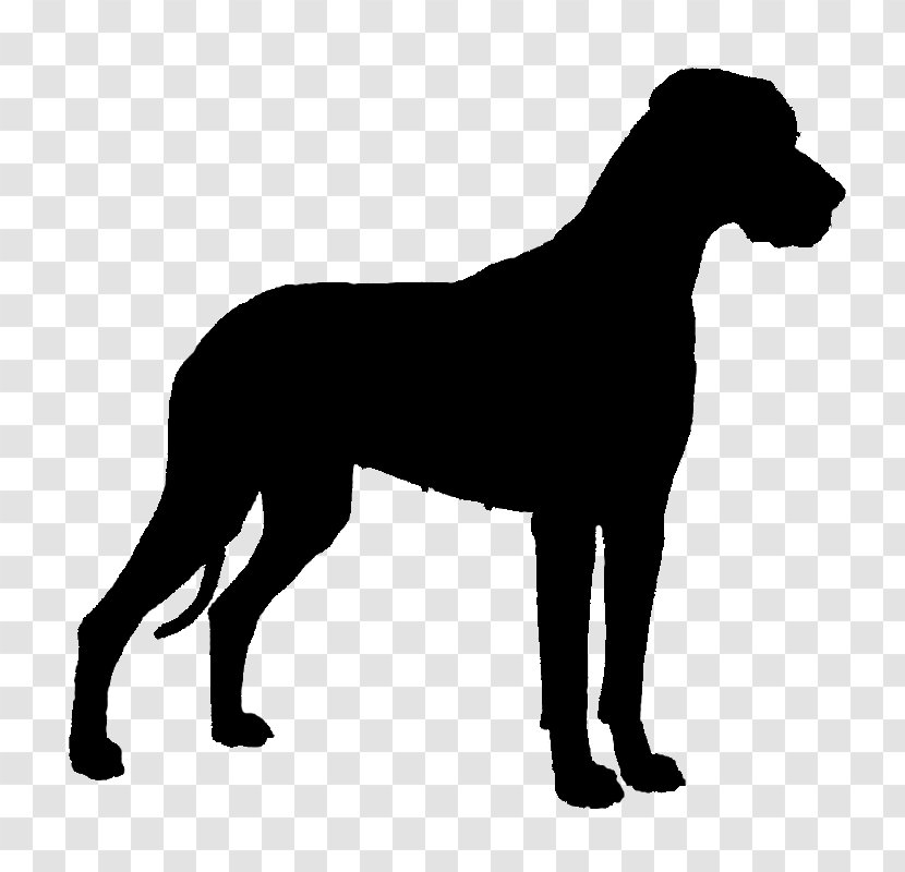 Boxer Puppy Rottweiler Vector Graphics Basset Hound - Heart - Cartoon Transparent PNG