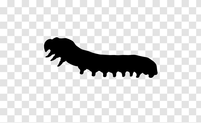 Worm Animal Silhouette Icon - Earthworm - Insect Silhouettes Transparent PNG