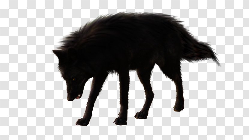 Dog Black Wolf Arctic Transparent PNG