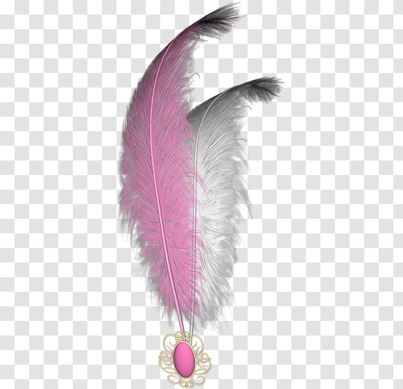 White Feather Bird - Pattern Transparent PNG