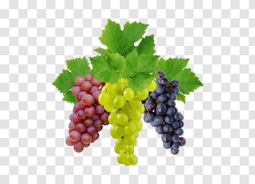 Grape Seedless Fruit Fruit Grape Leaves Natural Foods Transparent PNG