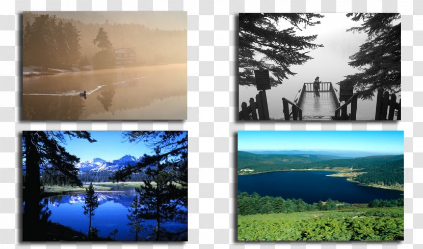 Water Resources Painting Ecosystem Desktop Wallpaper Picture Frames Transparent PNG