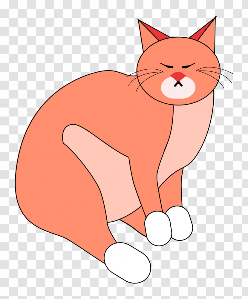 Cat Kitten Wildcat Red Fox Whiskers Transparent PNG