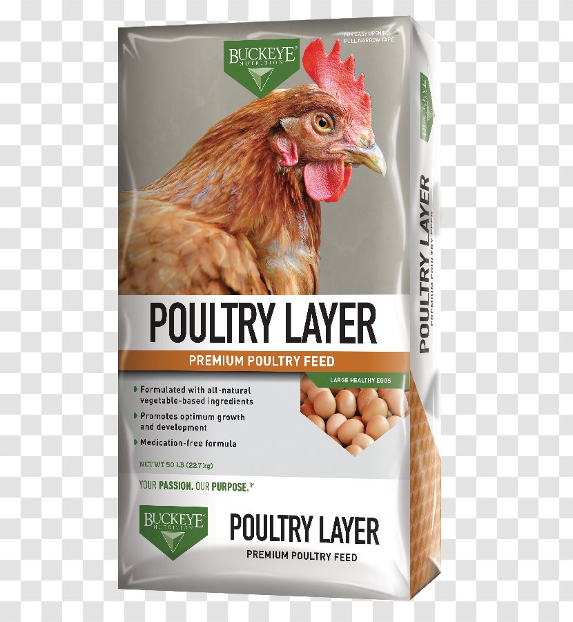 Poultry Feed Buckeye Chicken Animal Crumble - Farming - Goat Eat Transparent PNG
