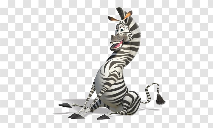 Zebra YouTube Madagascar Kowalski Film - Photography Transparent PNG