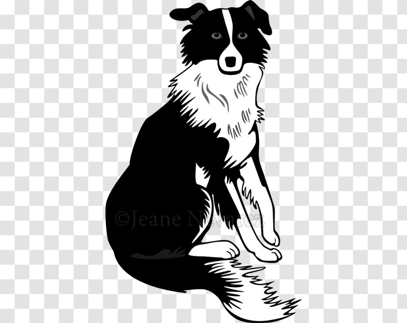 Border Collie Rough Bearded Puppy - Dog Breed Group Transparent PNG