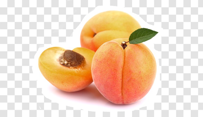 Apricot Kernel Transparency Nectar - Almond - 100 Percent Fresh Transparent PNG