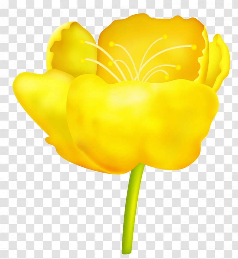 Tulip Flower Petal Clip Art - Plant Stem Transparent PNG