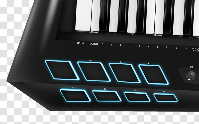 Digital Piano Musical Keyboard Keytar Electric Electronic - Tree - Instruments Transparent PNG