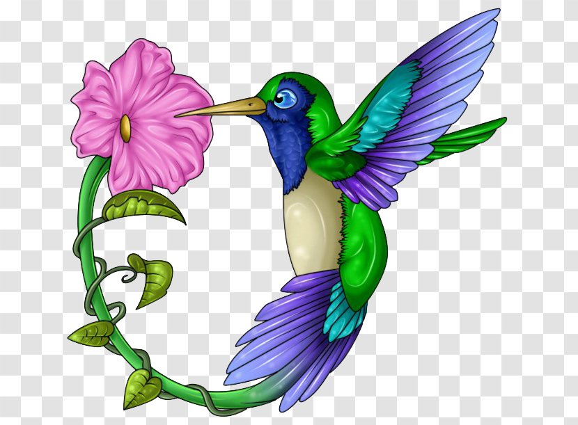 Hummingbird Beak Wing Feather - Tattoos Free Download Transparent PNG