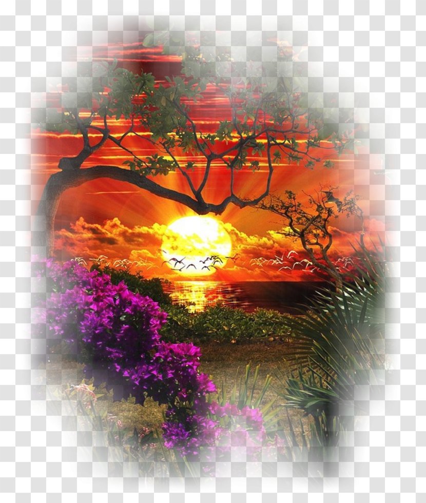 Morning Image Macro Greeting Google Images - Flora - Elvis At Sun Transparent PNG
