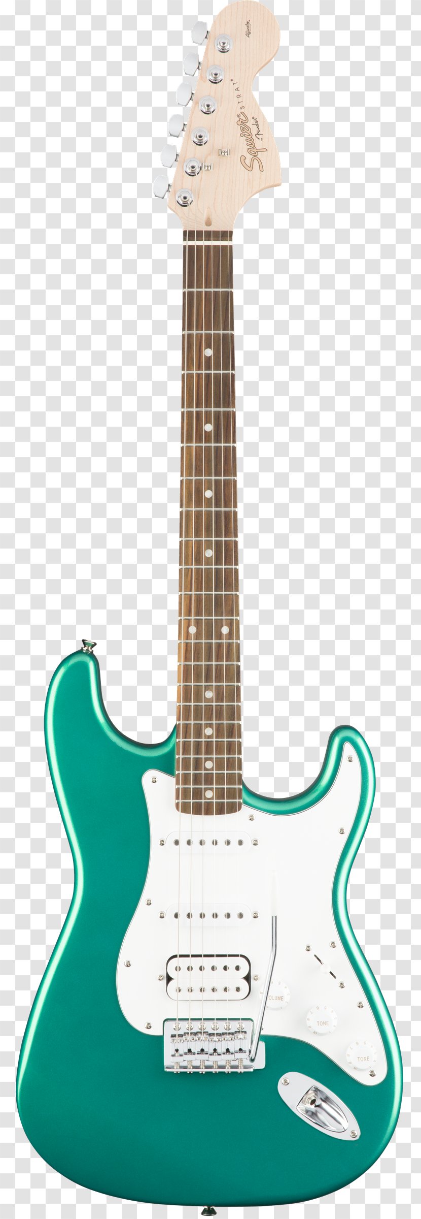 Fender Stratocaster Squier Musical Instruments Corporation Electric Guitar Fingerboard - Tree Transparent PNG