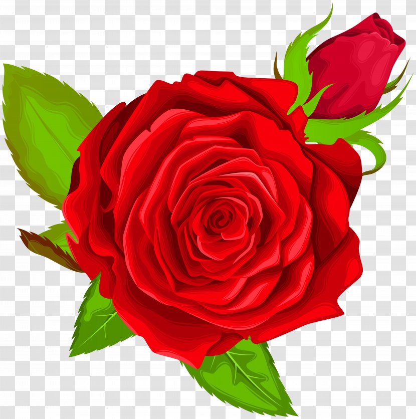 Icon Clip Art - Flower Arranging - Red Rose Decorative Image Transparent PNG