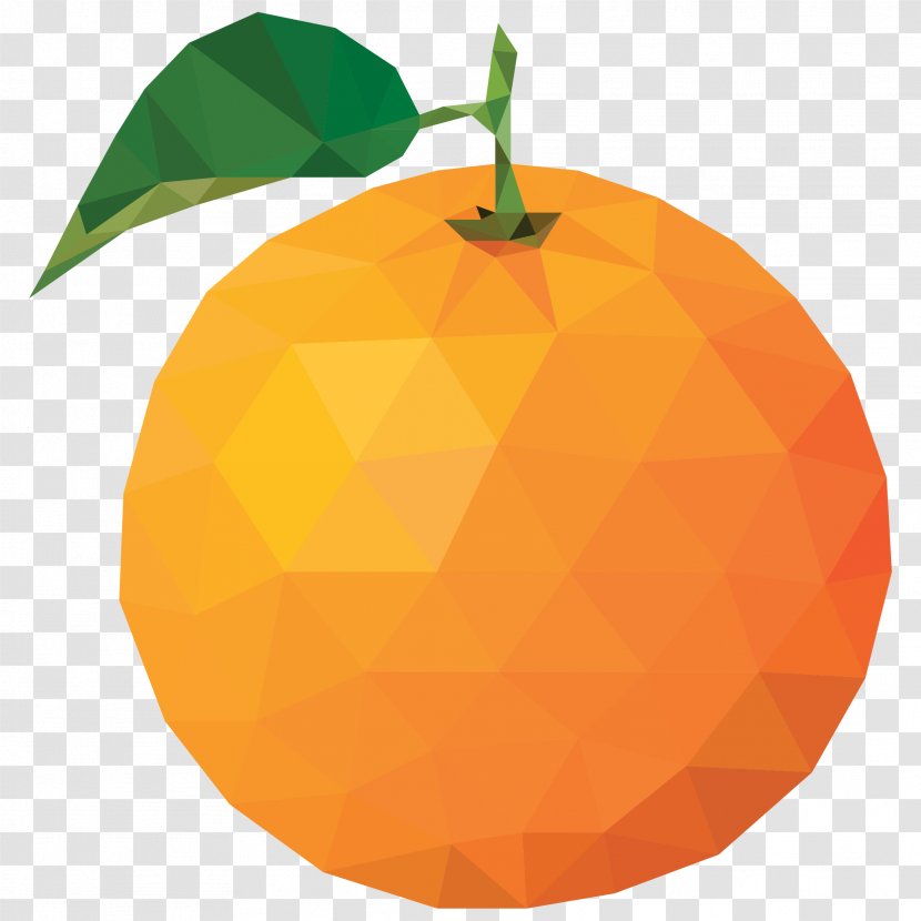 Vector Graphics Image Photograph Orange - Peach - Edible Fruit Transparent PNG