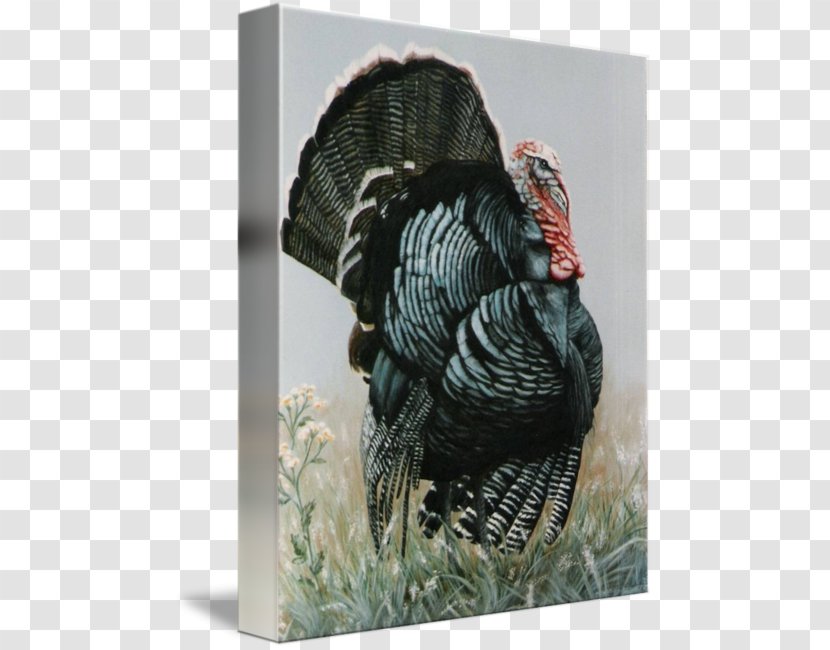Gallery Wrap Canvas Painting Art Domesticated Turkey - Wild - Watercolor Thanksgiving Transparent PNG