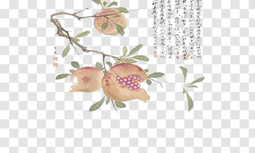 Pomegranate Ink Wash Painting Chinese Painter Art - Food Transparent PNG