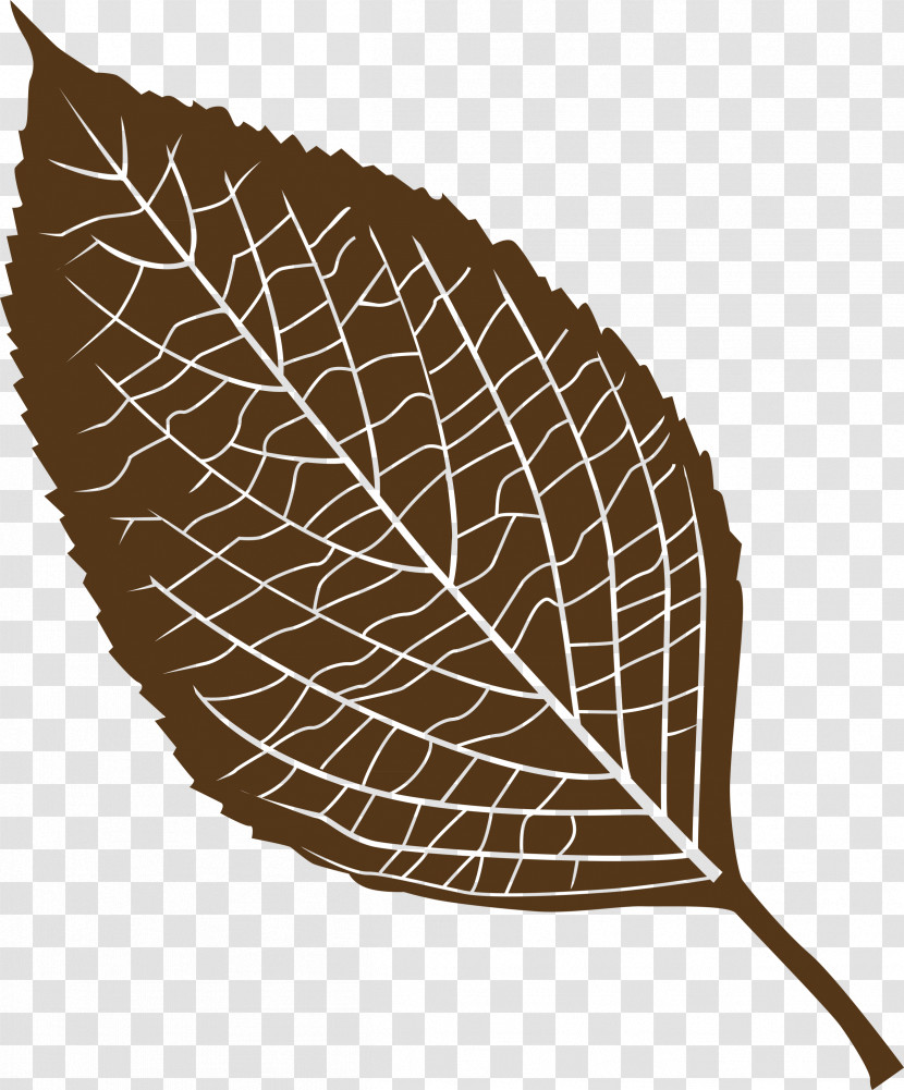 Leaf Transparent PNG