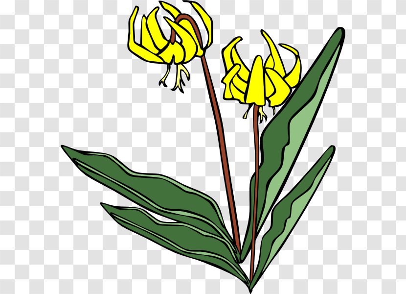 Wildflower Lilium Clip Art - Grass - Yellow Flowers Transparent PNG