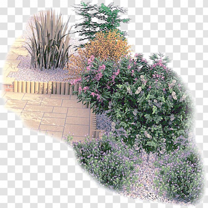 Garden Design Landscape Architecture - Flower Transparent PNG
