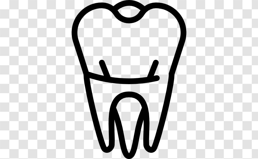 Dentistry Tooth Dentures Molar - Frame - Tree Transparent PNG