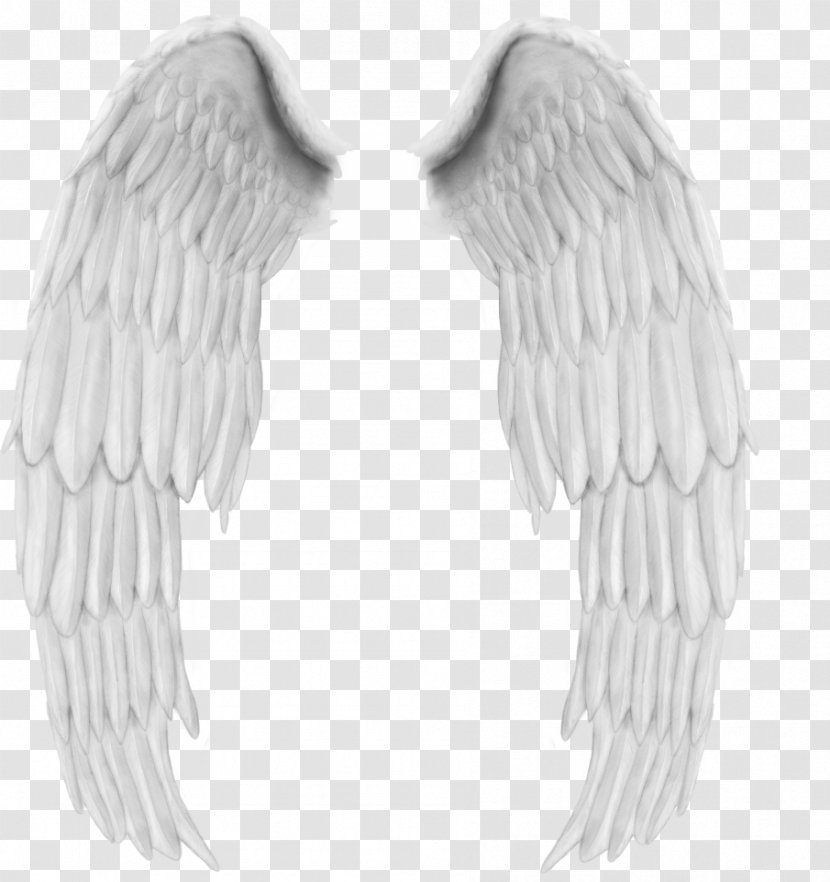 Feather Angel - Neck Transparent PNG