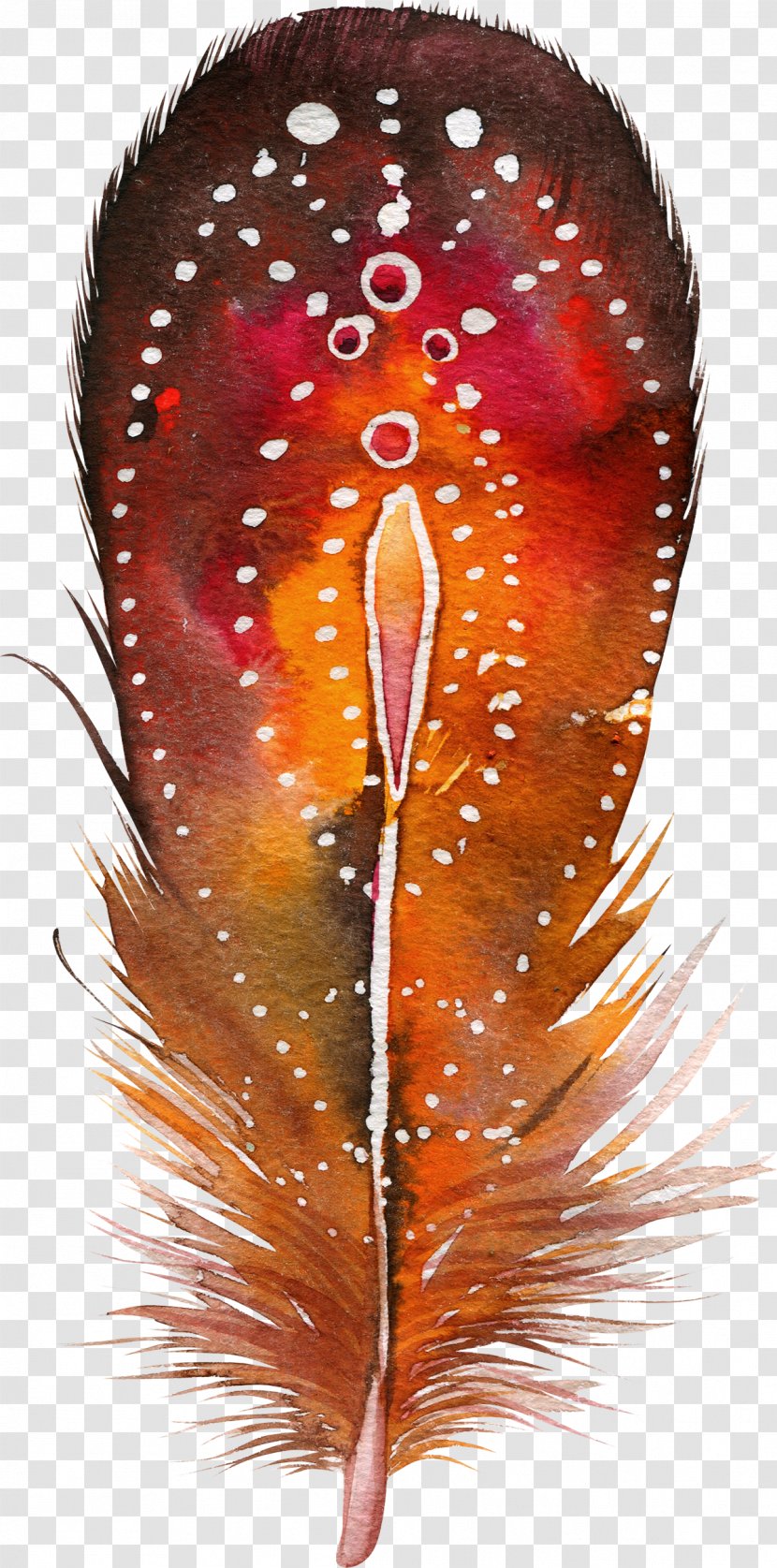Watercolor Painting Poster Juliane Wolf Photography - Feather Transparent PNG