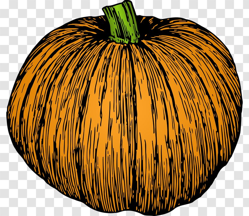 Jack-o'-lantern Pumpkin Clip Art Drawing Calabaza - Commodity Transparent PNG