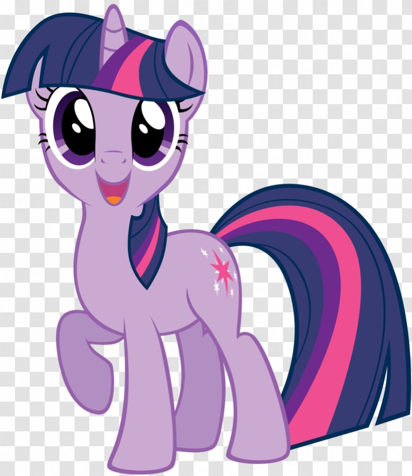 Twilight Sparkle Rarity Pony Rainbow Dash Pinkie Pie - Carnivoran Transparent PNG