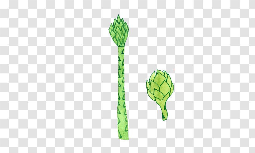 Menma Green Watercolor Painting Bamboo Shoot - Grass - Simple Hand-painted Small Fresh Shoots Transparent PNG
