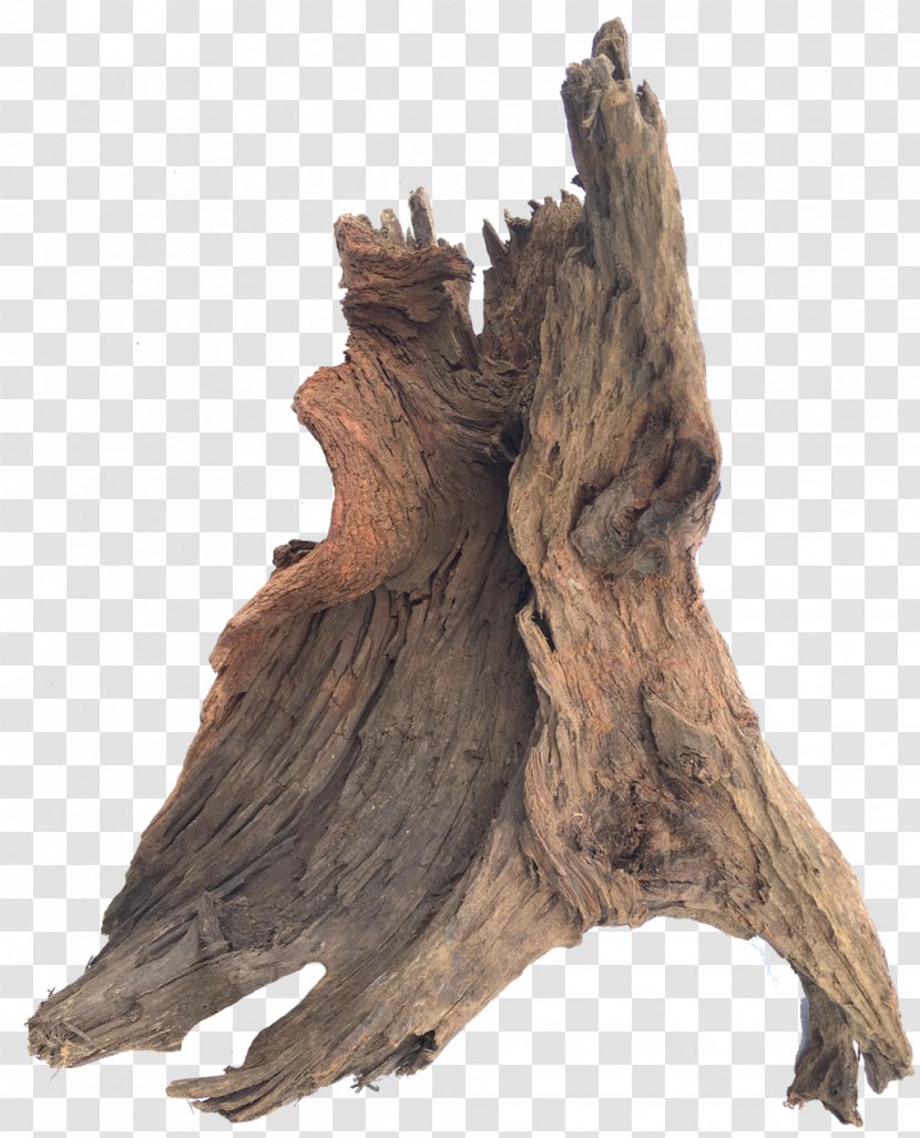 Driftwood Sculpture Trunk Tree - Aquarium - Wood Transparent PNG