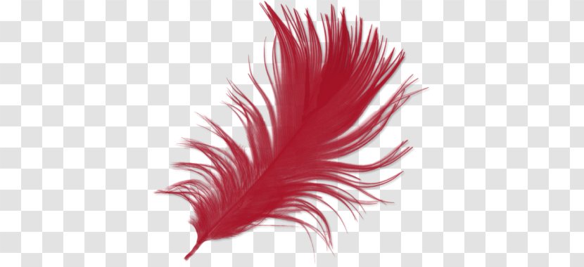 Feather Download IMVU - Wing Transparent PNG