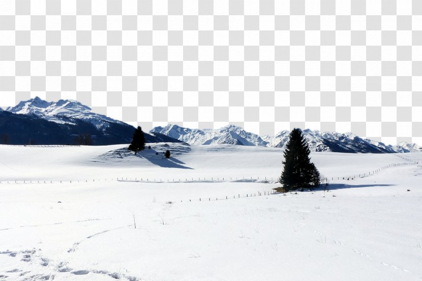 Snow Winter Sport Piste Landscape - Ski Mountaineering Transparent PNG