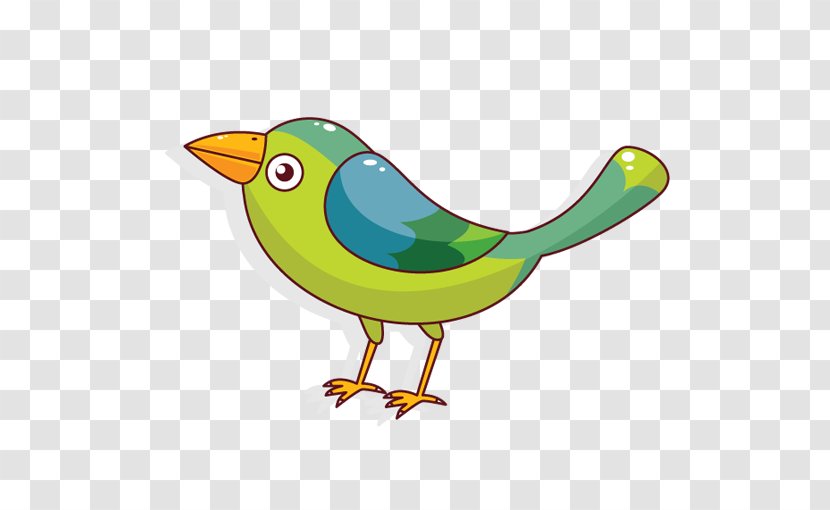 Bird Parrot Owl Cartoon - Drawing - Green Transparent PNG