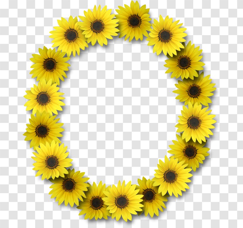 Letter Case Alphabet Common Sunflower - P - Flower Transparent PNG