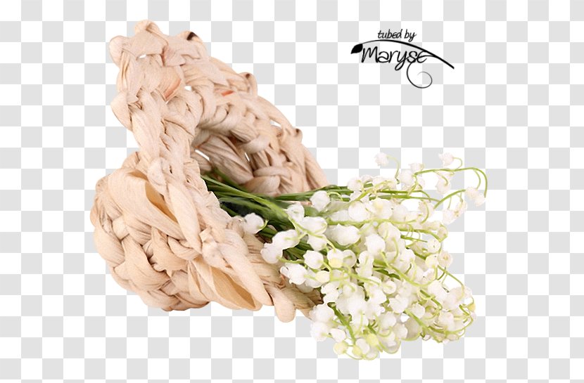 Flower Oyster May 1 PaintShop Pro - Maryse Ouellet - Lily Of The Valley Transparent PNG