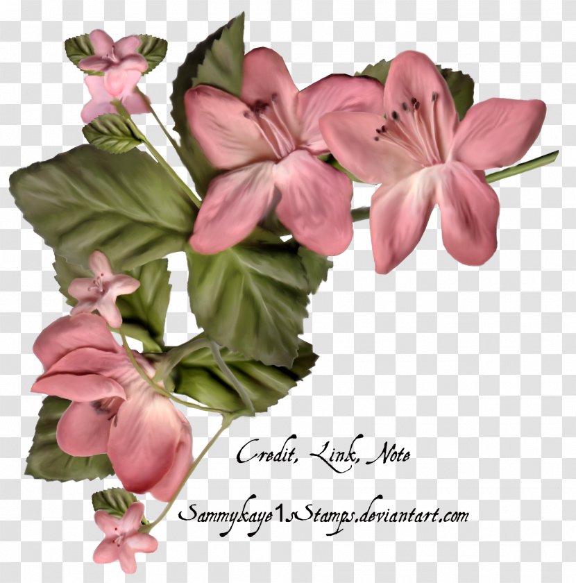 Floral Design Flower Bouquet - Plant Transparent PNG