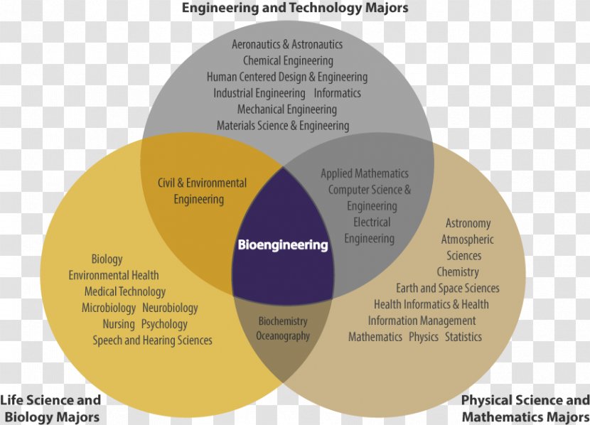 University Of Washington Department Bioengineering Biological Engineering Science Biomedical - Medicine Advertisement Transparent PNG