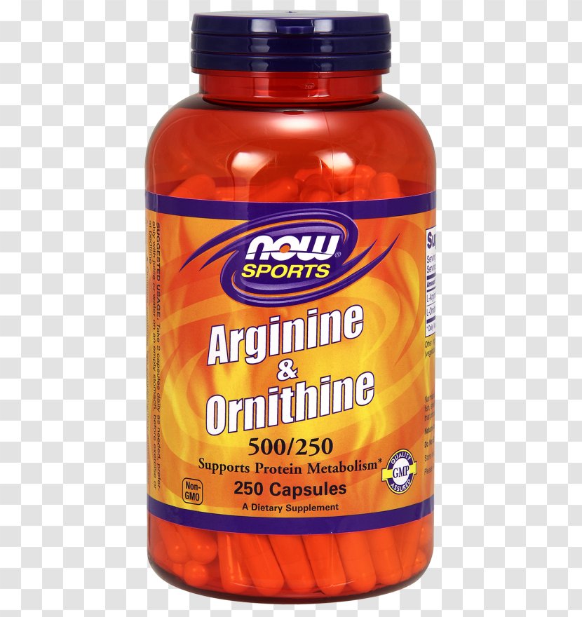 Dietary Supplement Ornithine Amino Acid Arginine NOW Foods - Now - Urea Cycle Glutamine Transparent PNG