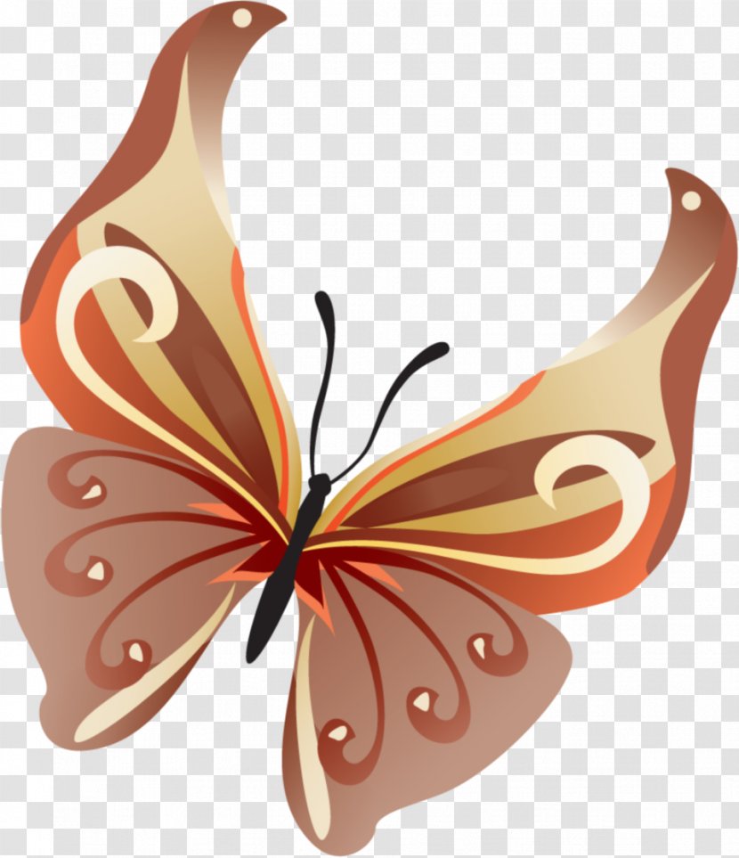 Photography Digital Image Clip Art - Butterfly Transparent PNG