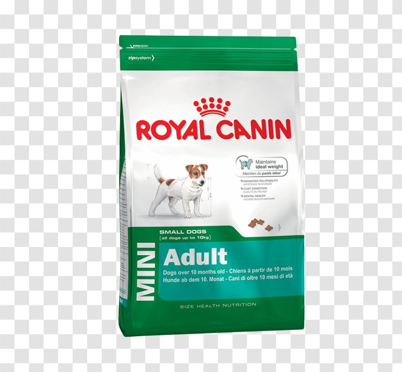 Poodle Puppy Yorkshire Terrier Dog Food Pet Transparent PNG