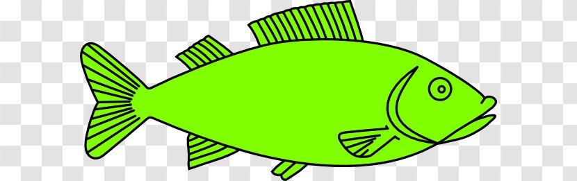 Fish Drawing Outline Clip Art - Trout Cliparts Transparent PNG