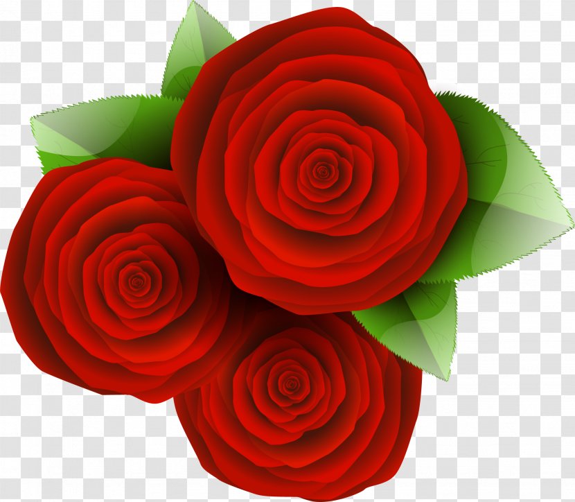 Garden Roses Cut Flowers Flower Bouquet - Red - Rose Order Transparent PNG