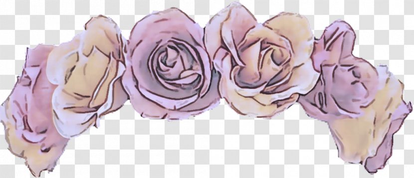 Garden Roses - Rose Family - Cut Flowers Transparent PNG
