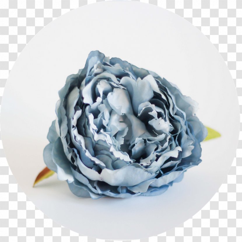 Blue Rose Pastel Cut Flowers Transparent PNG
