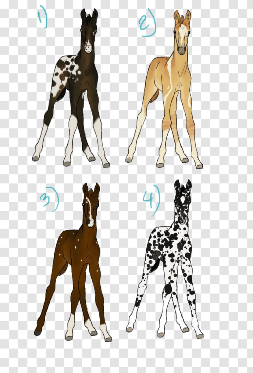 Dog Breed Giraffe Cat Horse - Mammal Transparent PNG