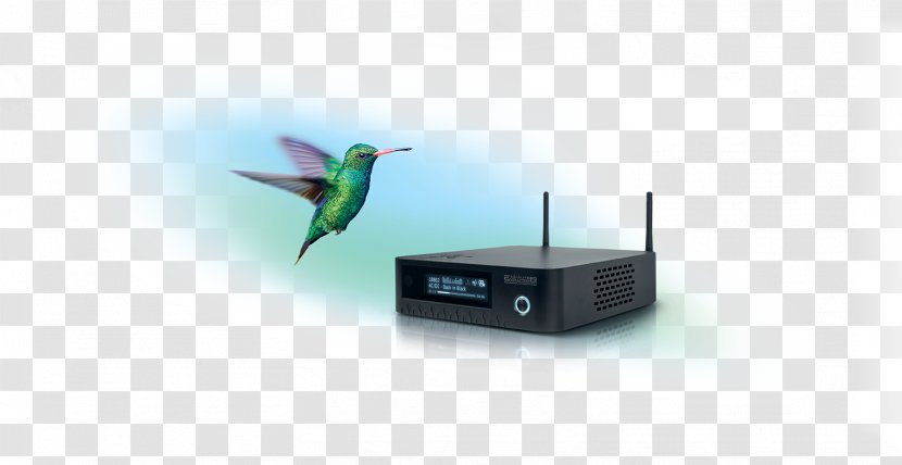 Technology Hummingbird M - Evolution Transparent PNG