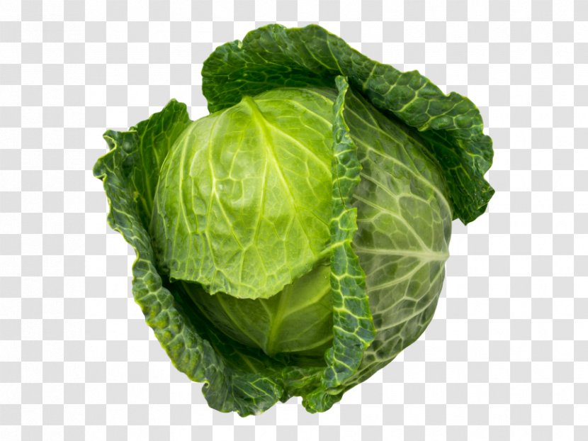 Vegetables Cartoon - Romaine Lettuce - Brussels Sprout Collard Greens Transparent PNG