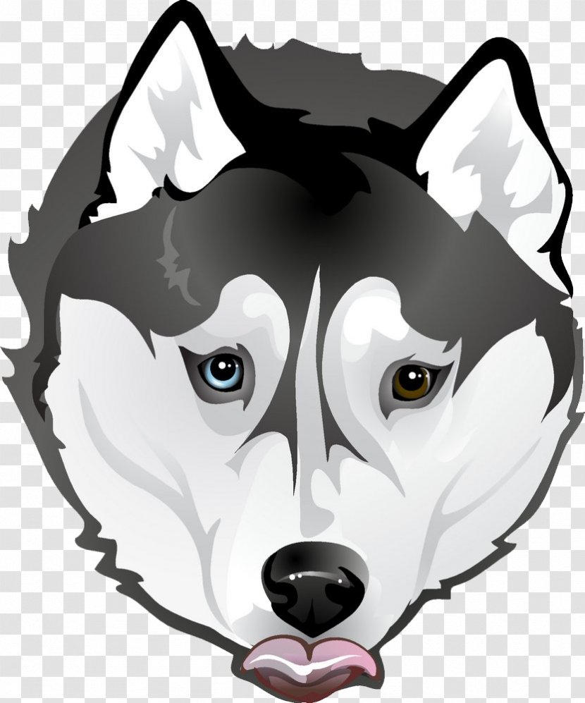Dog Husky Cartoon Illustration - Blueprint - Avatar Transparent PNG