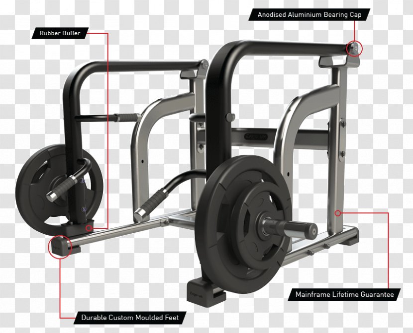 Elliptical Trainers Deadlift Weight Training Fitness Centre Physical - Shrug - Bodybuilding Transparent PNG