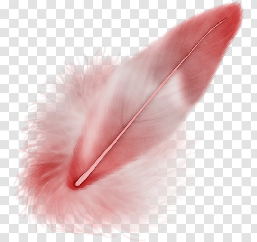 Feather - Wet Ink - Natural Material Pen Transparent PNG